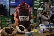 Pando y Oruro muestran sus sabores, artesanías y destinos turísticos