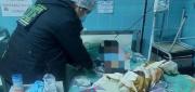 INVESTIGAN A MADRE POR PRESUNTO INTENTO DE INFANTICIDIO EN VILLAZÓN