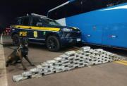 Caen 28 bolivianos en Brasil, viajaban en un bus con más de 2.500 cápsulas de droga en el estómago