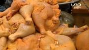 Avicultores de Cochabamba denuncian pérdidas por bajos precios del pollo y altos costos de producción