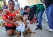 Sedes Santa Cruz refuerza la prevención contra la rabia y llama a vacunar a las mascotas