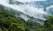 Congreso de Botánica, el encuentro de conocimientos de la biodiversidad de plantas de Bolivia