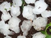 Sorprendente granizada afecta a Vallegrande y daña plantaciones de frutales