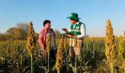 Censo Agropecuario arranca el 5 de octubre en Beni y Santa Cruz y llegará a los nueve departamentos