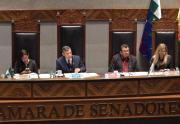 Senado aprueba proyecto de modificación de la Ley 260 y lo remite a Diputados