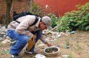 Realizan encuesta entomológica para medir presencia del mosquito transmisor del dengue en La Guardia