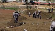 Alcaldía y 200 cadetes de la Armada Boliviana realizan cosecha de macrófitas en la laguna Alalay