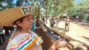 Un sonso de 11 metros cierra el mes festivo cruceño en las Cabañas del Piraí