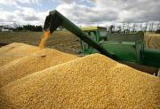 El agro proyecta hasta 700.000 toneladas de soya al finalizar campaña de invierno