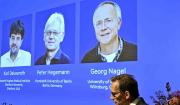 Deisseroth, Hegemann y Nagel ganan Premio Nobel de Medicina