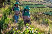 Bolivia inicia el Censo Agropecuario después de 13 años