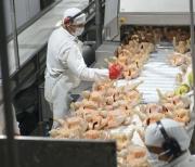 El consumo de carne de pollo en Argentina supera por primera vez al de carne de res