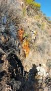Defensa Civil moviliza brigadas y evalúa apoyo aéreo para contener incendio forestal en Pocona