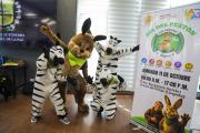 Subalcaldía de San Antonio lanza día del peatón con circuito gastronómico y cultural en la ciudad de La Paz
