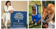Nacional Seguros impulsa el cuidado responsable de las mascotas con soluciones de protección para perros y gatos