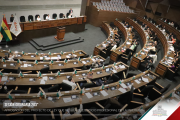 Diputados aprueban proyecto de ley que regula el ejercicio profesional de la psicología