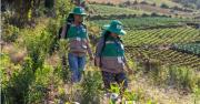 Director del INE detalla plan y etapas del censo agropecuario 2026