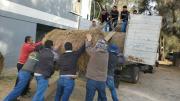 Gobernación lleva 44 toneladas de forraje a ganaderos afectados por incendios en Mizque