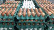 ¿Cuántos huevos recomiendan comer por semana? Una especialista lo explica