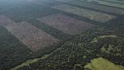 El Supremo de Argentina restituye los límites a la venta de tierras a extranjeros