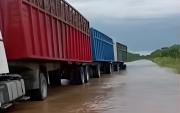 Lluvias golpean la siembra en Fernández Alonso y ponen en riesgo el rendimiento de la soya