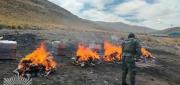 FELCN DESTRUYE MÁS DE 172 KILOS DE DROGA EN ORURO