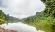 Familia de Mario Roda, desaparecido en el río Yapacaní, pide ayuda para su búsqueda