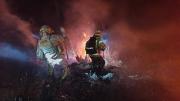 Incendios forestales dejan grandes pérdidas