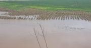 Cinco comunidades del norte cruceño en riesgo de quedar bajo el agua por constantes lluvias