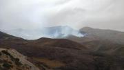Incendio forestal avanza hacia la cordillera de Sama y dificulta las labores de emergencia en Tarija
