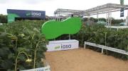 IASA reafirma su liderazgo en Agro Vidas 2026 acompañando al productor desde la siembra hasta la industria