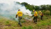 Santa Cruz reporta 13 focos de calor, pero ningún incendio forestal