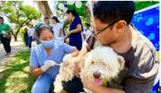 Gobernación cruceña activa vacunación masiva para frenar el avance de la rabia canina