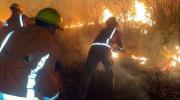 Entre el 7 y 14 de octubre se registraron 646 focos de calor que afectaron a 27 territorios indígenas