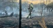Cochabamba: Incendios forestales se disparan en cerca del 180% en comparación con el 2025