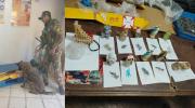 Artesanías con figuras de santos, vírgenes y animales ocultaban cocaína