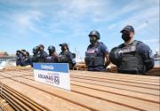 Juez frena destrucción de madera en Chile y autoriza nuevas pericias