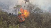 Bosques: Por una hectárea desmontada, 36 quemadas