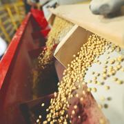 La certificación de semillas retrocede y alerta al agro de Santa Cruz