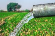 Productores piden priorizar agua de San Jacinto para riego