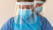 Muere una persona en Francia a causa del virus shamonda, hasta ahora considerado no transmisible a humanos