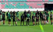 La Verde se alista para la fecha FIFA y espera que sus legionarios sumen rodaje