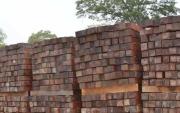 Exportadoras de madera tardarán al menos cinco años en recuperar mercados por acusación de la Fiscalía de Arica