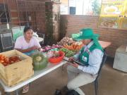 Censo Agropecuario alcanza un avance del 40% en Cuatro Cañadas