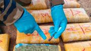 FELCN incauta 1,9 toneladas de marihuana y 163 kilos de cocaína en seis días