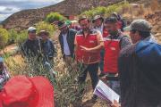 Municipio tarijeño Cercado se perfila como productor de aceite de oliva