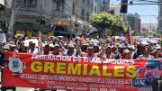 Gremiales anuncian movilizaciones para finales de noviembre: “Las ventas bajaron en 50%”