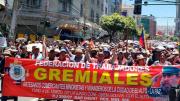 Gremiales anuncian movilizaciones para finales de noviembre: “Las ventas bajaron en 50%”