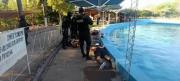 Tarija: Alerta por reincidencia de antisociales que reciben libertad