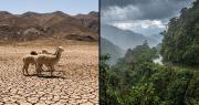 El Niño: Hay municipios paceños que sufren por las lluvias, otros por la sequía, señala la Gobernación